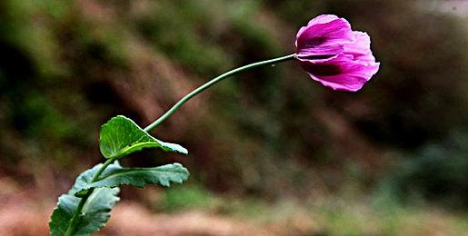 管泽元透露《LOL》MMORPG开发进程：还在新建文件夹